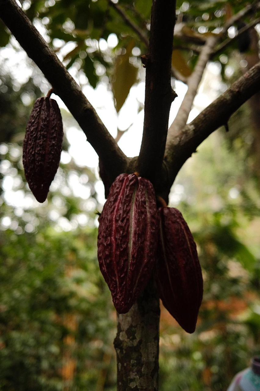 WhatsApp Image 2024-12-16 at 12.54.18 PM